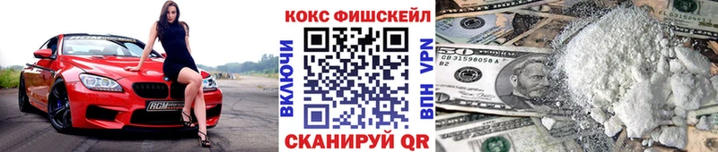 COCAIN Fish Scale  Купить где  Дигора 