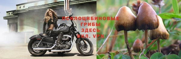 тгк Козловка