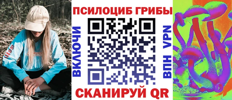 Галлюциногенные грибы Magic Shrooms  Купить закладки  Дигора 